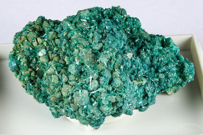 Beautiful Blue-Green Botallackite Crystal Cluster - England #380223